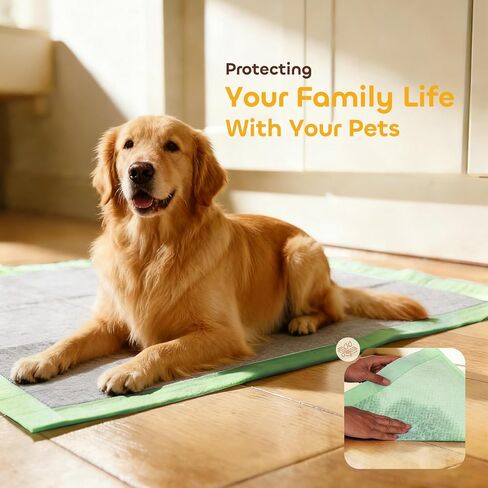 Pawtasy Charcoal Dog Pee Pads XXL, 50 Count,28" x 34" Extra Large Disposable Puppy Training Pads with Bamboo Charcoal Odor Control, 5-Layer Super Absorbent & Leak-Proof Pet Potty Pads for Dogs, Cats in Kuwait