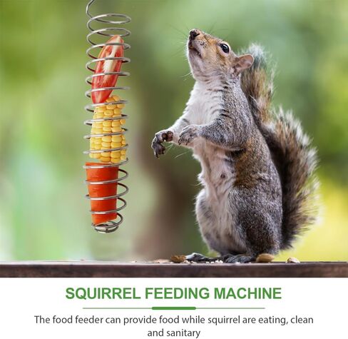 Squirrel Feeder Corn Cob Holders 2-Pack Outdoor Bird Feeding Supplies Lightweight Stainless Steel Feeders for Backyard Garden Wildlife 9.84X1.77X1.77In Easy to Clean in Kuwait