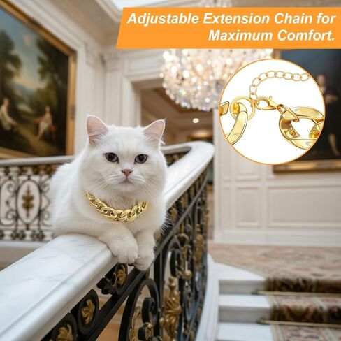 JIEYAO Gold Cat Chain Collar, Adjustable Cuban Link Necklace for Cats Gold Chain for Cats Stylish Pet Decorative Accessory (Gold, M) in Kuwait