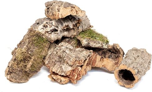 Assorted Virgin Cork Bark for Orchids, Reptiles & Terrariums – Natural Orchid Mounts, Vivarium Décor, Tarantula & Gecko Hides (8ounce) in Kuwait