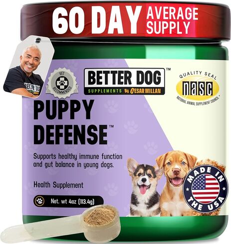 Better Dog Supplements Puppy Defense by Cesar Millan – Natural Immune Support Powder for Young Dogs – Immunity, Gut Balance, Digestive Health & Early Wellness – 4oz, (60-Day Supply) in Kuwait