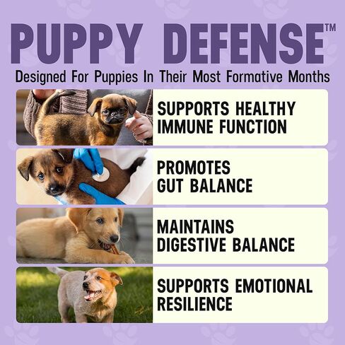 Better Dog Supplements Puppy Defense by Cesar Millan – Natural Immune Support Powder for Young Dogs – Immunity, Gut Balance, Digestive Health & Early Wellness – 4oz, (60-Day Supply) in Kuwait