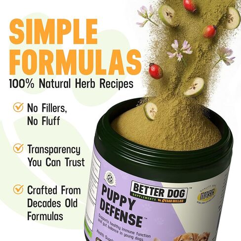 Better Dog Supplements Puppy Defense by Cesar Millan – Natural Immune Support Powder for Young Dogs – Immunity, Gut Balance, Digestive Health & Early Wellness – 4oz, (60-Day Supply) in Kuwait