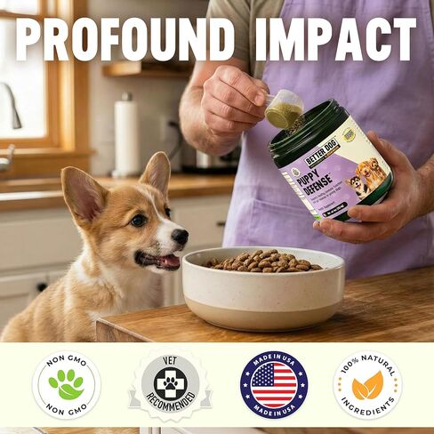 Better Dog Supplements Puppy Defense by Cesar Millan – Natural Immune Support Powder for Young Dogs – Immunity, Gut Balance, Digestive Health & Early Wellness – 4oz, (60-Day Supply) in Kuwait