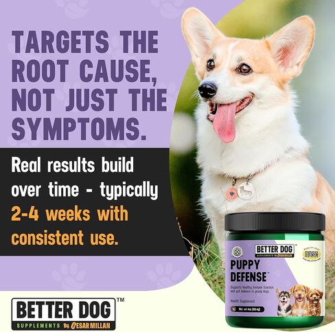 Better Dog Supplements Puppy Defense by Cesar Millan – Natural Immune Support Powder for Young Dogs – Immunity, Gut Balance, Digestive Health & Early Wellness – 4oz, (60-Day Supply) in Kuwait