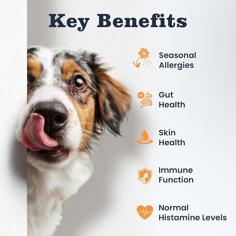 Dog Allergy & Immune Chews 300 Treats, Itching Skin Relief Chews Omega 3 Fish Oil Probiotics for Seasonal All Issues Allergies Skin & Hair, Gut, Immune-All Ages & Sizes Dogs Made in USA Chicken Flavor in Kuwait