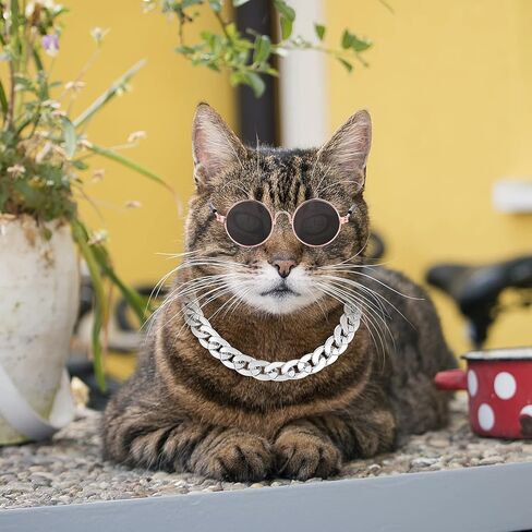 Molain Cat النظارات الشمسية سلسلة ذهبية زي الزينة - القط حماية من الأشعة فوق البنفسجية الكلاسيكية الرجعية جرو الرجعية السوداء النظارات الشمسية فو الفضة قابل للتعديل سلسلة تأثيري زي بارد مضحك صور الدعائم in Kuwait