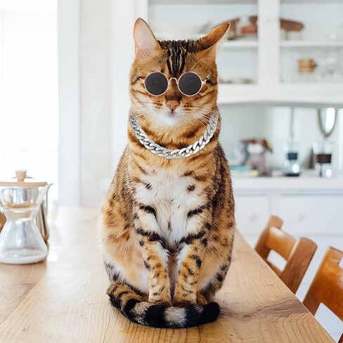 Molain Cat النظارات الشمسية سلسلة ذهبية زي الزينة - القط حماية من الأشعة فوق البنفسجية الكلاسيكية الرجعية جرو الرجعية السوداء النظارات الشمسية فو الفضة قابل للتعديل سلسلة تأثيري زي بارد مضحك صور الدعائم in Kuwait
