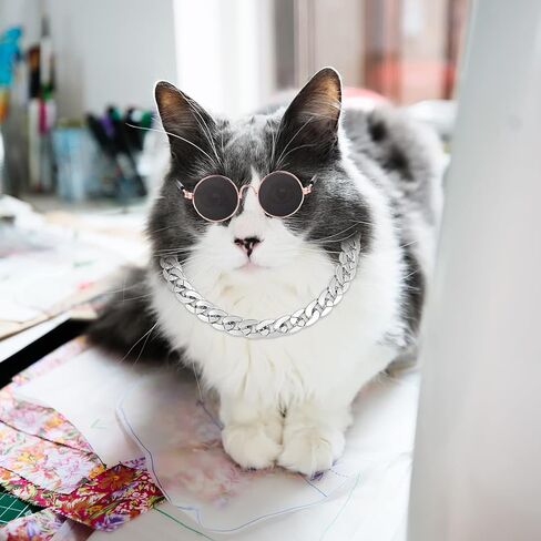 Molain Cat النظارات الشمسية سلسلة ذهبية زي الزينة - القط حماية من الأشعة فوق البنفسجية الكلاسيكية الرجعية جرو الرجعية السوداء النظارات الشمسية فو الفضة قابل للتعديل سلسلة تأثيري زي بارد مضحك صور الدعائم in Kuwait