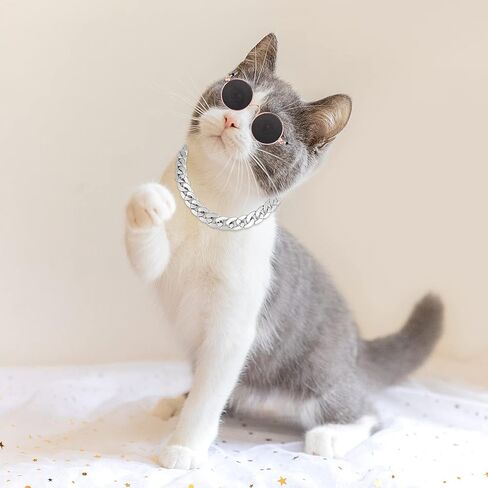 Molain Cat النظارات الشمسية سلسلة ذهبية زي الزينة - القط حماية من الأشعة فوق البنفسجية الكلاسيكية الرجعية جرو الرجعية السوداء النظارات الشمسية فو الفضة قابل للتعديل سلسلة تأثيري زي بارد مضحك صور الدعائم in Kuwait