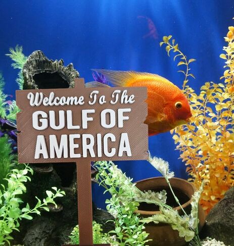 Gulf of America Aquarium Sign: Funny Fish Tank Decor in Kuwait
