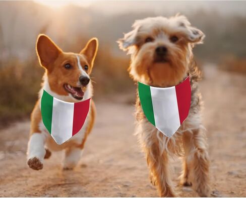 JXGZSO 1 Piece Italian Flag Italian Theme Dog Bandana Gift Italian Flag Pet Bandana (Italian Flag Dog) in Kuwait