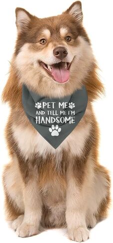 Pet Me & Tell Me I'm Handsome Dog Bandana، باندانا الكلب، منديل للحيوانات الأليفة للكلاب الصغيرة المتوسطة، منديل رمادي للحيوانات الأليفة، هدية لمحبي الكلاب، وشاح مثلث للحيوانات الأليفة in Kuwait