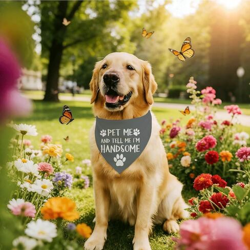 Pet Me & Tell Me I'm Handsome Dog Bandana، باندانا الكلب، منديل للحيوانات الأليفة للكلاب الصغيرة المتوسطة، منديل رمادي للحيوانات الأليفة، هدية لمحبي الكلاب، وشاح مثلث للحيوانات الأليفة in Kuwait