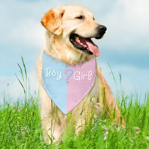 Boy or Girl Dog Bandana Gender Reveal Gifts Baby Announcement Sign Pregnancy Announcement Bandana for Dog Photo Props Gender Reveal Gifts Ideas Pet Accessories for Dogs Lovers in Kuwait