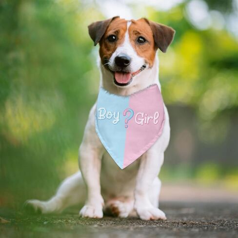 Boy or Girl Dog Bandana Gender Reveal Gifts Baby Announcement Sign Pregnancy Announcement Bandana for Dog Photo Props Gender Reveal Gifts Ideas Pet Accessories for Dogs Lovers in Kuwait