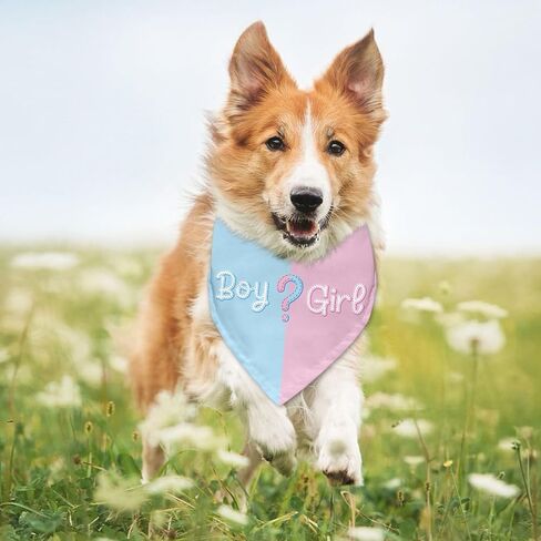 Boy or Girl Dog Bandana Gender Reveal Gifts Baby Announcement Sign Pregnancy Announcement Bandana for Dog Photo Props Gender Reveal Gifts Ideas Pet Accessories for Dogs Lovers in Kuwait