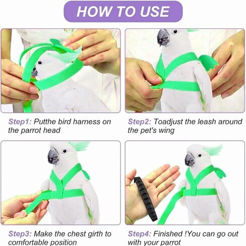 FILFEEL الحيوانات الأليفة الطيور تسخير المقود تحلق حبل الجر للكونيور الببغاء Lovebird كوكاتيل مينا - تصميم in Kuwait