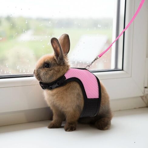 DECHOUS 3pcs Rabbit Harness Vest Leash Set, Soft Mesh Chest Strap for Small Pets, Adjustable Medium Size for Guinea Pigs, Ferrets, Hamsters, and Rabbits Outdoor Use in Kuwait