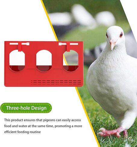 1 Piece 3 Holes Red Pigeon Feeder for Cage with Lid (Red, 3 Holes) in Saudi Arabia