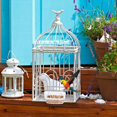 No Mess Bird Feeder 2 Pack Hanging Cage Feeders Transparent Food Water Bowls for Parrot Pigeon Finch Cockatiel Plastic Feeding Containers for Home in Kuwait