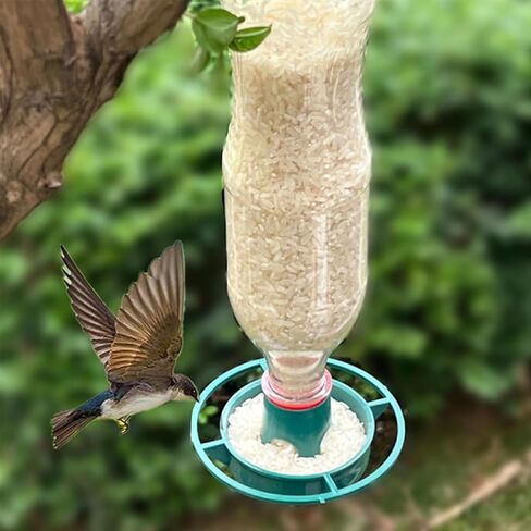 Gadjit Soda Bottle Bird Feeder – 3 Pack | Turn Soda Bottles into Eco-Friendly Wild Bird Seed Feeders | Promotes Recycling & Reuse in Kuwait