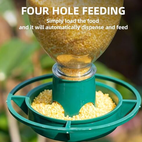 Gadjit Soda Bottle Bird Feeder – 3 Pack | Turn Soda Bottles into Eco-Friendly Wild Bird Seed Feeders | Promotes Recycling & Reuse in Kuwait