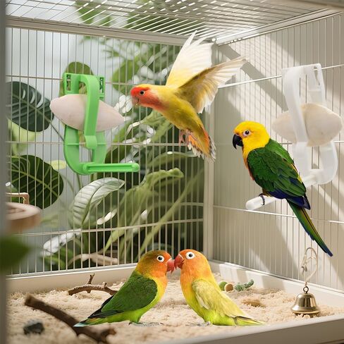 2 قطعة قفص الطيور Cuttlebone حامل الفاكهة الخضار قوس مع العلياء الوقوف مع 4 قطعة Cuttlebone للببغاء الببغاء Conure in Kuwait