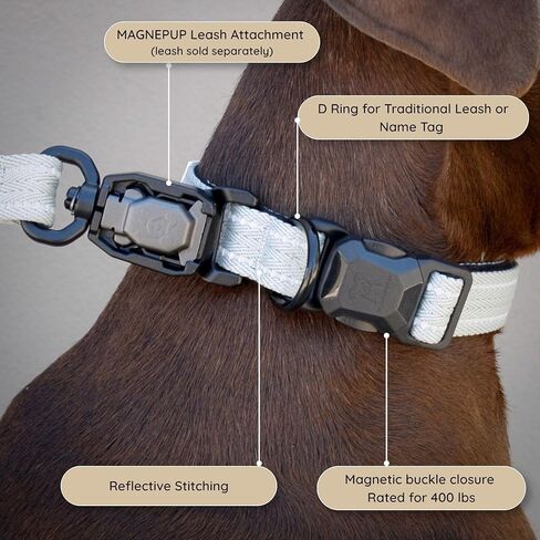 Dog Leash – Tan – 4 ft Length – Standard 25MM (1") Width – Magnetic Click & Go Buckle, One-Hand Release, Reflective Stitching for Night Visibility, Durable Dog Leash in Kuwait