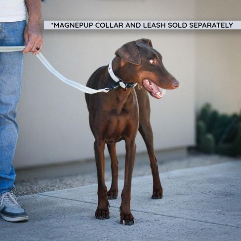 Dog Leash – Tan – 4 ft Length – Standard 25MM (1") Width – Magnetic Click & Go Buckle, One-Hand Release, Reflective Stitching for Night Visibility, Durable Dog Leash in Kuwait