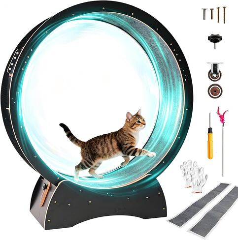 Cat Exercise Wheel for Indoor Cats with 2 Replacement Carpets, 43.3in Large Quiet Cat Running Wheel for Maine Coon & Active Cats Supports Up to 25 lbs, Wooden Cat Treadmill Exercise Wheel in Kuwait