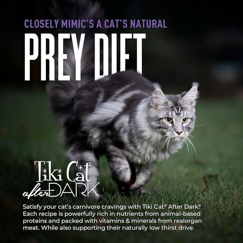 Tiki Cat After Dark Shreds Wet Cat Food, Rabbit & Chicken Liver, 3 oz. Can (12 Count) in Kuwait