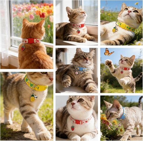 expawlorer زهرة القط طوق الانفصال مع أجراس 3 حزمة، قابل للتعديل طوق هريرة لينة مع قلادة لطيف لربيع وصيف، الياقات القط آمنة للفتيات الصبي القطط الحيوانات الأليفة زي الديكور الملحقات in Kuwait