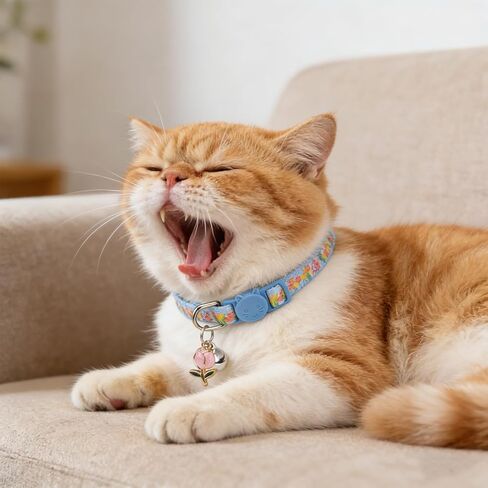 expawlorer زهرة القط طوق الانفصال مع أجراس 3 حزمة، قابل للتعديل طوق هريرة لينة مع قلادة لطيف لربيع وصيف، الياقات القط آمنة للفتيات الصبي القطط الحيوانات الأليفة زي الديكور الملحقات in Kuwait