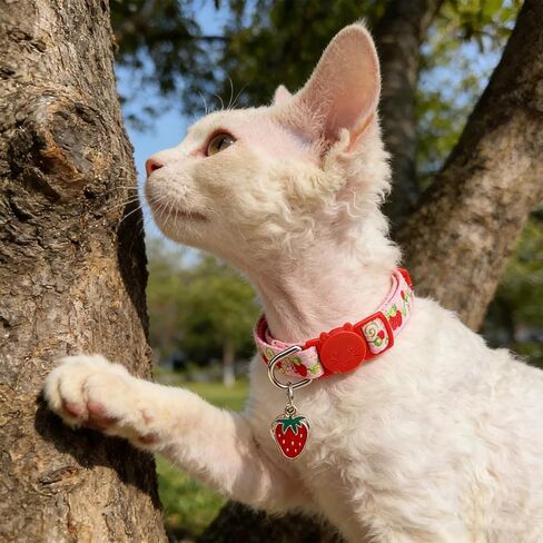 expawlorer زهرة القط طوق الانفصال مع أجراس 3 حزمة، قابل للتعديل طوق هريرة لينة مع قلادة لطيف لربيع وصيف، الياقات القط آمنة للفتيات الصبي القطط الحيوانات الأليفة زي الديكور الملحقات in Kuwait