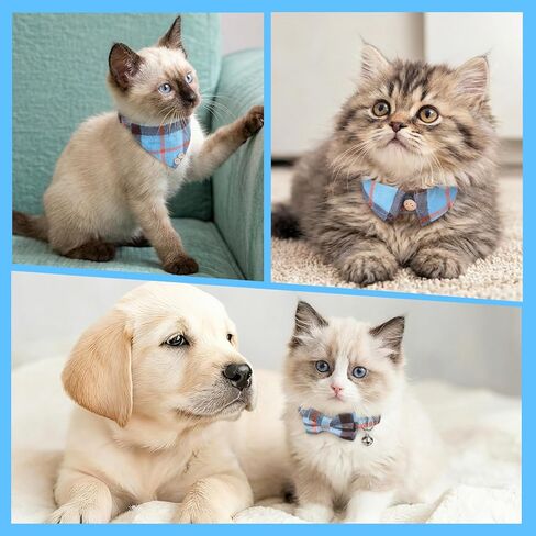 QFGasre Mini Cat Collar Set with Bow Tie and Bandana, 2 Pcs Cute Cat Collar Breakaway with Bells Blue Plaid Cats Collar-Bandana Adjustable Pet Bowtie Bandana with Safety Buckle for Small Cats, Blue in Kuwait