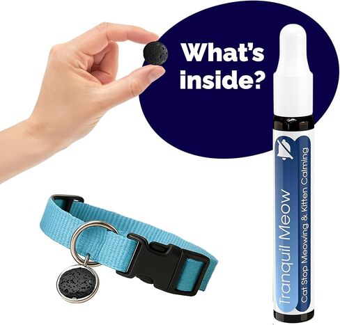 Light Blue Cat Collar with Break Away Buckle - Adjustable Thin Cat Collar for Small and Adult Cats - Lightweight Comfortable Collar for All Cats in Kuwait