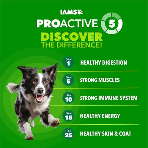 IAMS Proactive Health High Protein Dry Dog Food with Chicken & Beef, 15 lb. Bag in Kuwait
