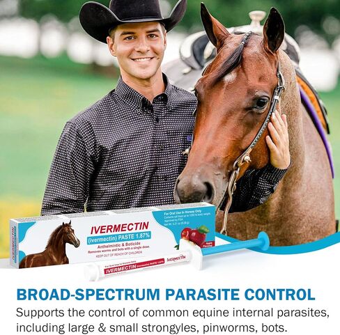 Ivermect Horse Paste 1.87%, for Horse Use Only, 6.08g, 1 Pack, Appled Flavored in Kuwait