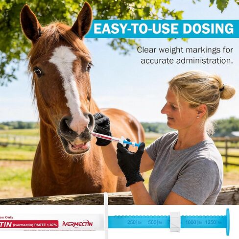 Ivermect Horse Paste 1.87%, for Horse Use Only, 6.08g, 1 Pack, Appled Flavored in Kuwait