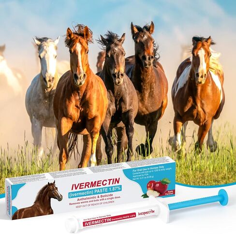 Ivermect Horse Paste 1.87%, for Horse Use Only, 6.08g, 1 Pack, Appled Flavored in Kuwait