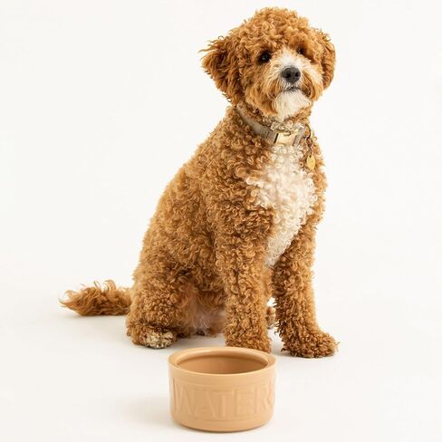 Mason Cash: Cane Dog Water Bowl - 5.9", 30oz -Tan Food-Water Dish, Durable Ceramic Stoneware, Microwave-Dishwasher Safe, Pet Meal Feeding-Hydration in Kuwait