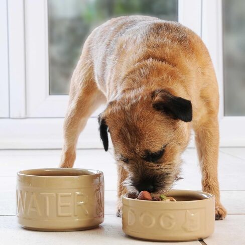 Mason Cash: Cane Dog Water Bowl - 5.9", 30oz -Tan Food-Water Dish, Durable Ceramic Stoneware, Microwave-Dishwasher Safe, Pet Meal Feeding-Hydration in Kuwait