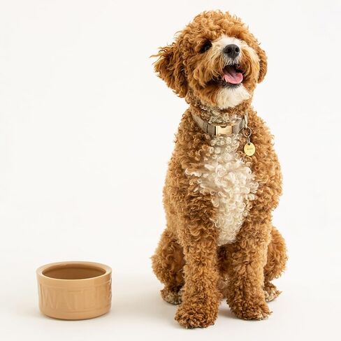 Mason Cash: Cane Dog Water Bowl - 5.9", 30oz -Tan Food-Water Dish, Durable Ceramic Stoneware, Microwave-Dishwasher Safe, Pet Meal Feeding-Hydration in Kuwait