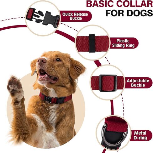 Likesing Small Dog Collar Girl Boy, Classic Dog Collar for Mini Dogs Female Male Pet Cats Puppy Collar, Extra Small Dog Collar for Litter with Buckle, D-Ring and Removable Tag(9.8"-15.7" L, 3/4" W) in Kuwait