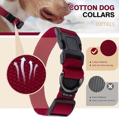 Likesing Small Dog Collar Girl Boy, Classic Dog Collar for Mini Dogs Female Male Pet Cats Puppy Collar, Extra Small Dog Collar for Litter with Buckle, D-Ring and Removable Tag(9.8"-15.7" L, 3/4" W) in Kuwait