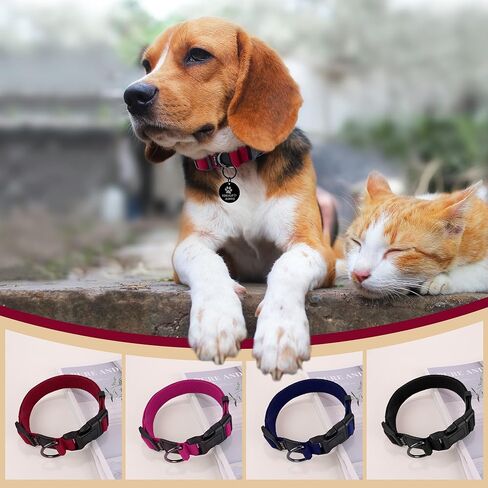 Likesing Small Dog Collar Girl Boy, Classic Dog Collar for Mini Dogs Female Male Pet Cats Puppy Collar, Extra Small Dog Collar for Litter with Buckle, D-Ring and Removable Tag(9.8"-15.7" L, 3/4" W) in Kuwait