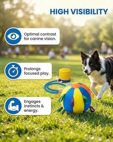 Herding Ball for Dogs,Durable Waterproof Dog Herding Ball Outdoor, Large Interactive Dog Play Ball for Herding Breeds to Push Chase & Roll, Pet Training Toy for Australian Shepherd Border Collie(10in) in Kuwait