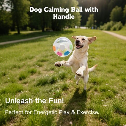 Dog Calming Ball with Handle, Interactive Ball for Playing with Pet Dogs, Interactive Soccer Toy with Squeaking Tennis Ball Inside, for Water Play, Training & Outdoor Games (White) in Kuwait