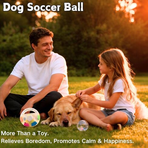 Dog Calming Ball with Handle, Interactive Ball for Playing with Pet Dogs, Interactive Soccer Toy with Squeaking Tennis Ball Inside, for Water Play, Training & Outdoor Games (White) in Kuwait